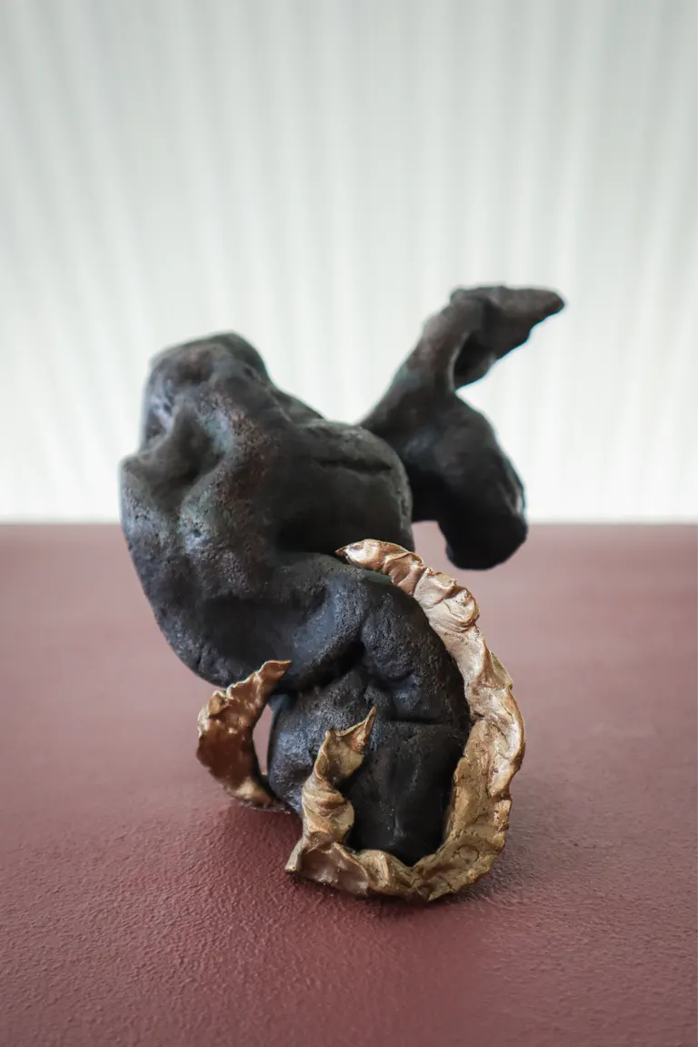 Breathing in soil: A transmutation, portfolio item 9