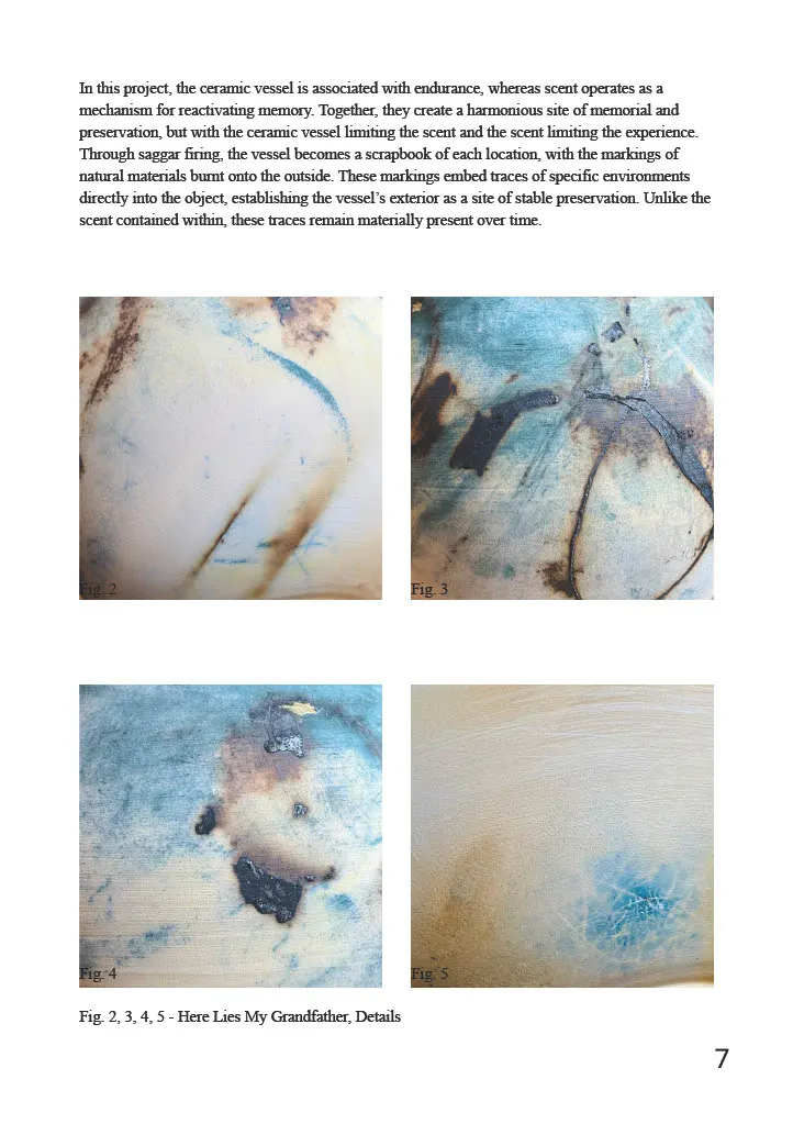 Permanent Traces, Temporary Atmospheres, portfolio item 7