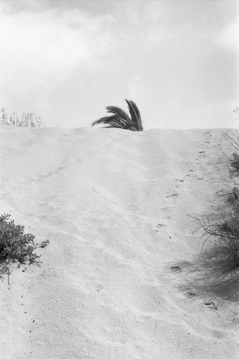 Ashdod A', portfolio item 10