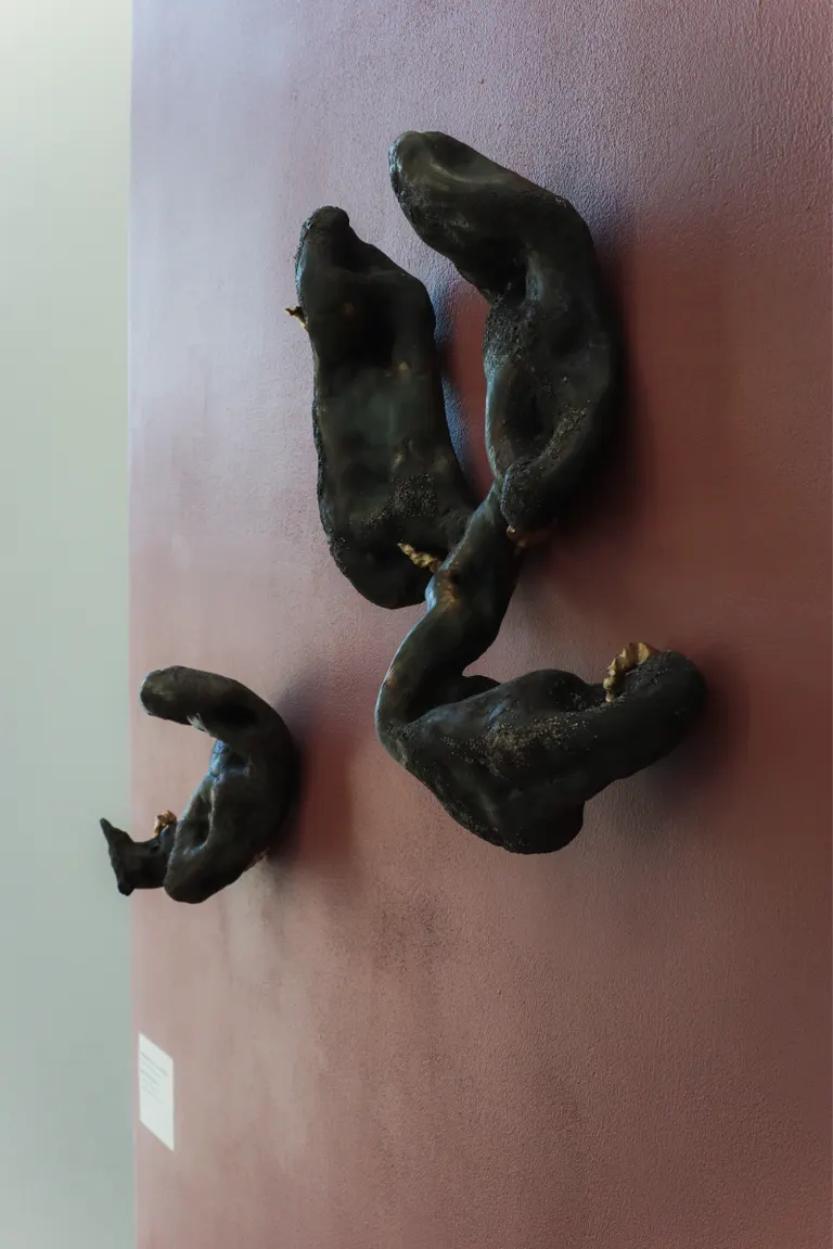 Breathing in soil: A transmutation, portfolio item 7