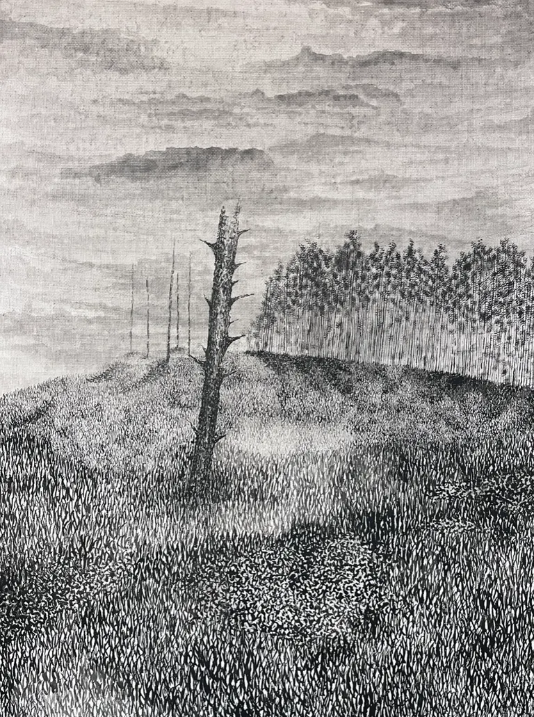 Understory, portfolio item 8