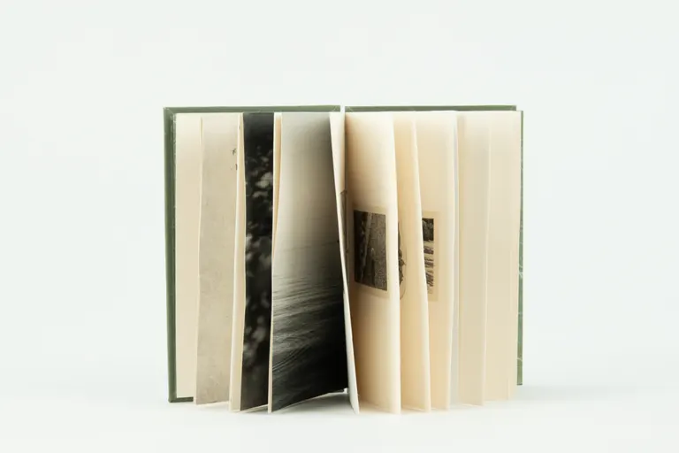 Migration, portfolio item 6