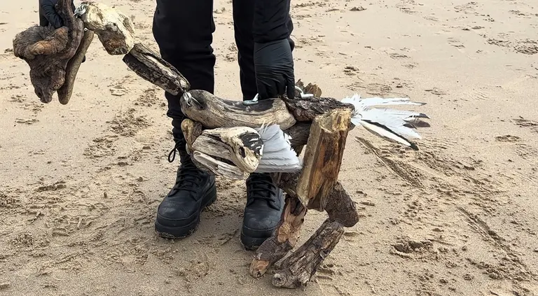 Driftwood puppets, portfolio item 9