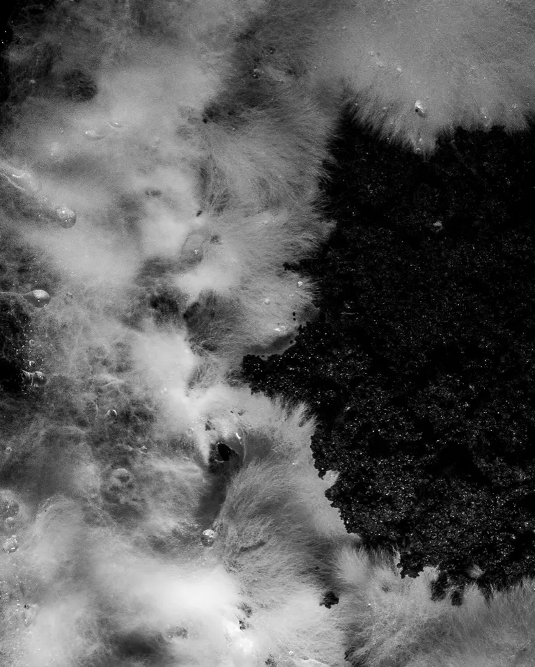 Touched by Mycelium, portfolio item 7