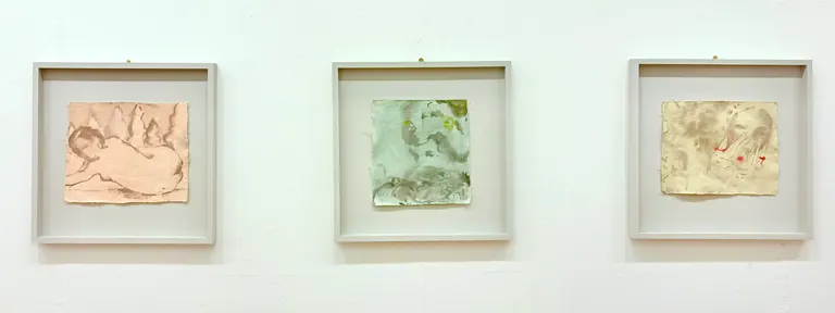 Apple Skins (degree show paintings), portfolio item 3