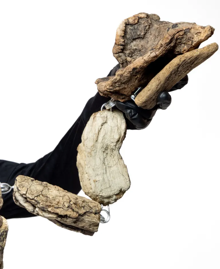 Driftwood puppets, portfolio item 1