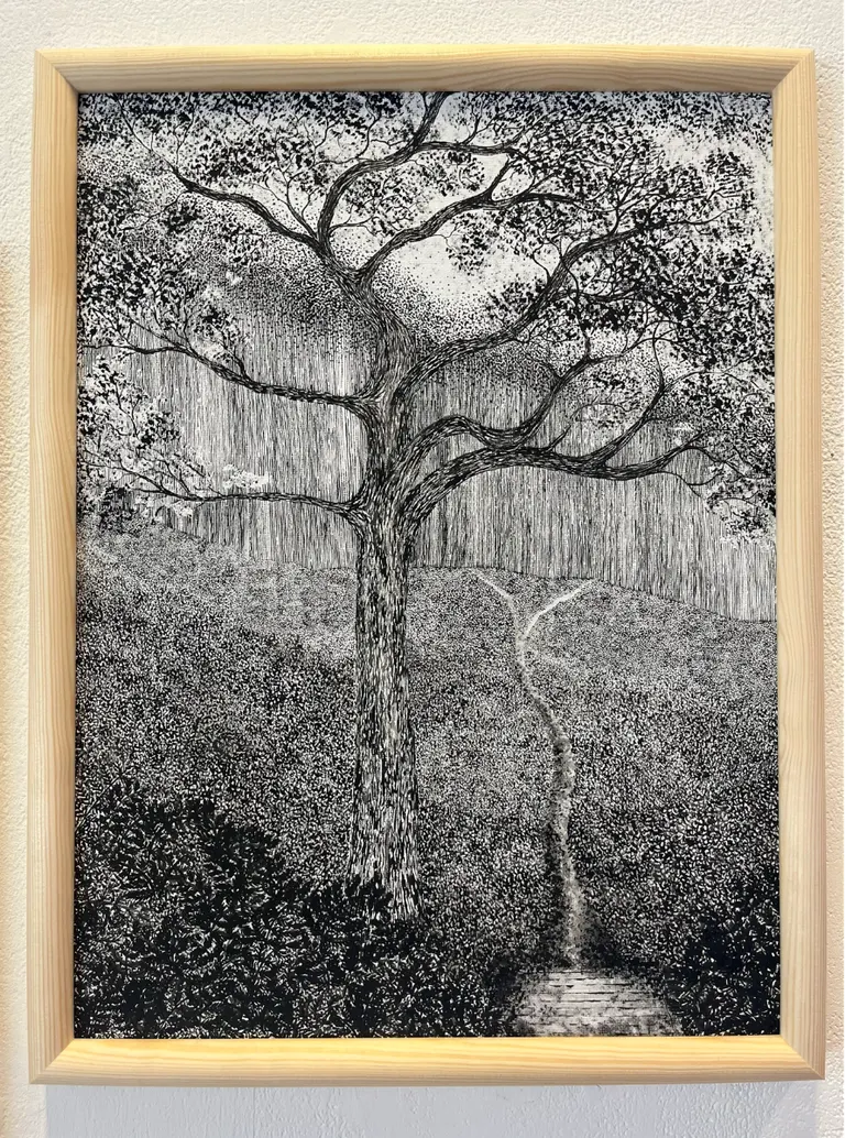 Understory, portfolio item 4