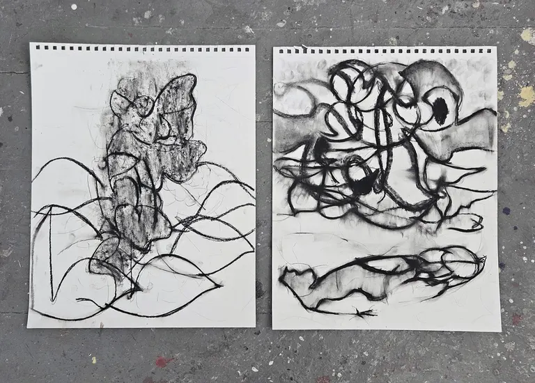 Where forms dream, portfolio item 13