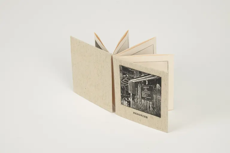 Migration, portfolio item 17