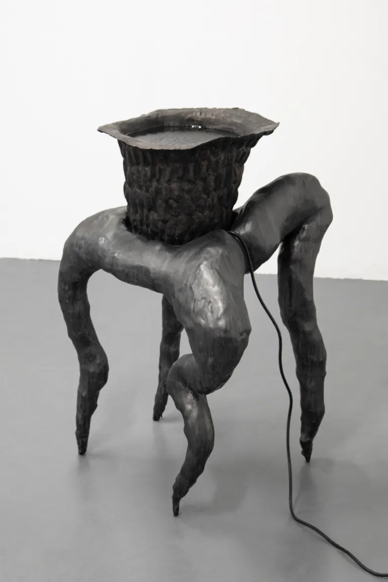 Brackish water, portfolio item 7