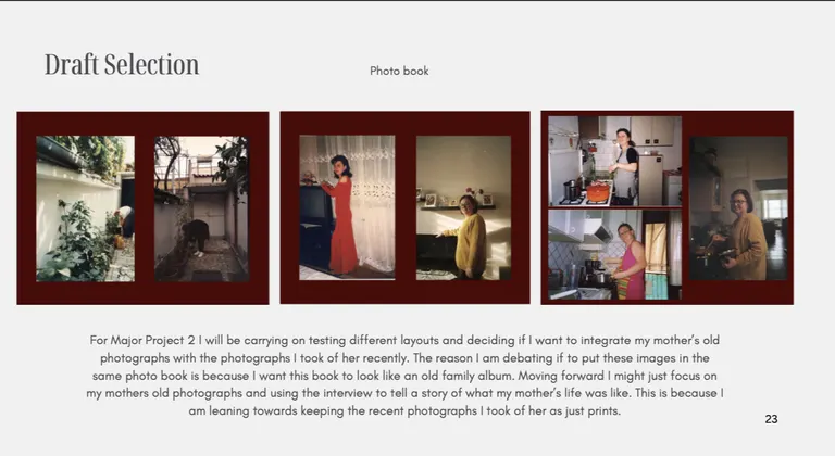 Zamira reka, portfolio item 23