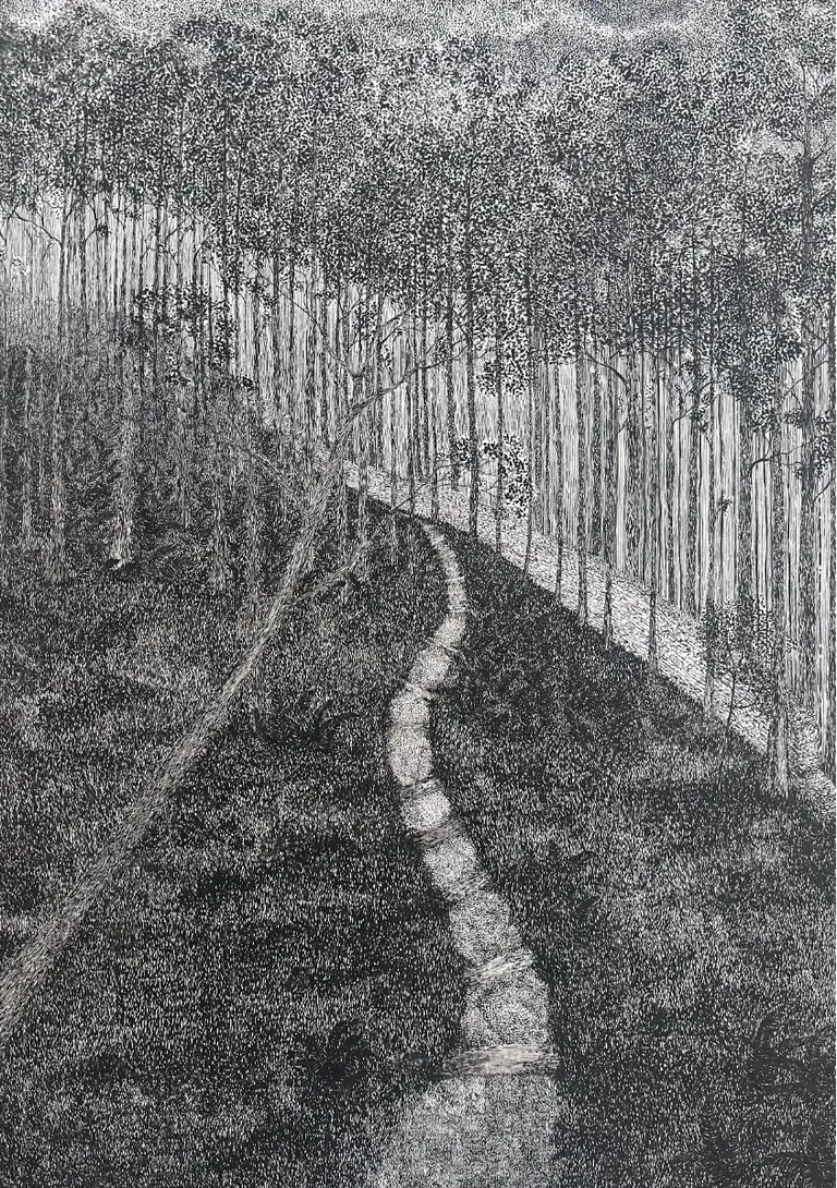 Understory, portfolio item 3