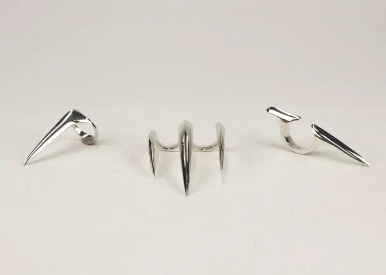 GO FASTER, BITE BETTER, portfolio item 12